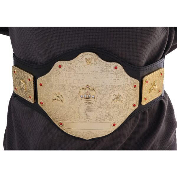 Combatwear 2024 New Wrestler Championship Gold Belt V2
