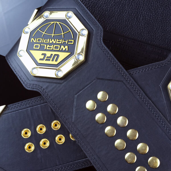 CombatWear UFC Classic Legacy USA World Wrestling Championship Belts - Image 4